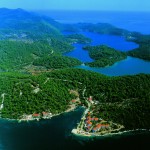 Mljet