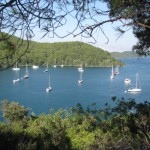 Mljet